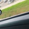 brandy_cole19